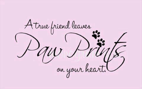 Paw prints i miss you quotes.