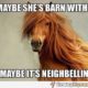 1508165603 851 20 Funny Horse Memes For Equine Lovers