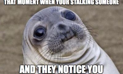 1508210161 575 18 Stalking Meme That Will Not Creep You Out