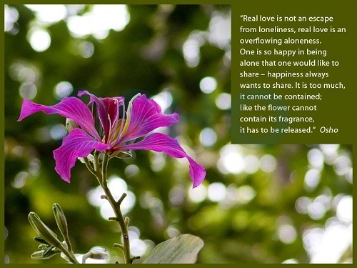Inspirational Osho Quotes on Love