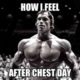 1508331384 551 20 Chest Day Meme