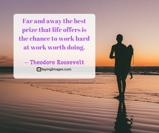 theodore roosevelt business quotes
