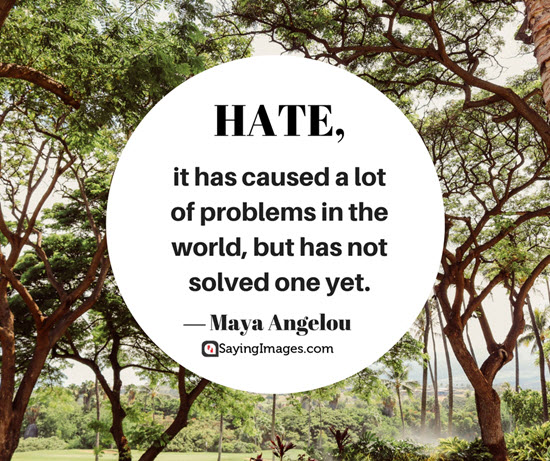 maya angelou hate quotes