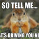 1508881782 329 20 Squirrel Memes That Will Melt Your Heart