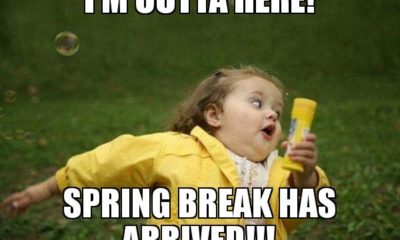 1508987212 587 20 Exciting Spring Break Memes