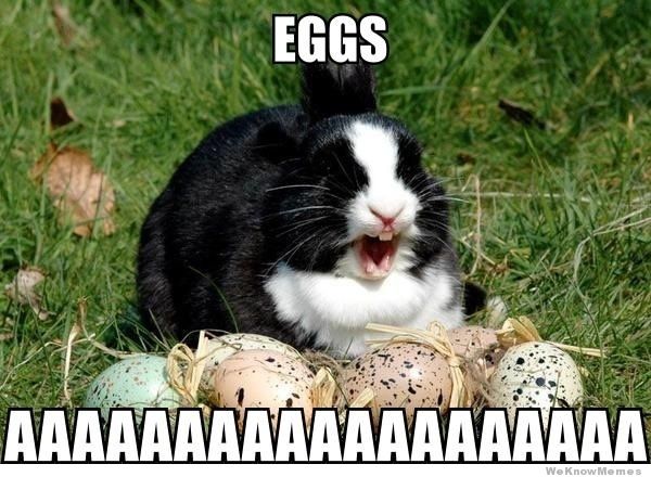1509016777 279 20 Happy Easter Egg Hunting Memes