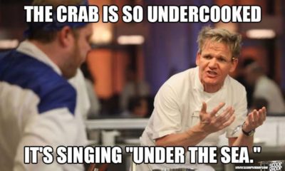 1509031660 115 18 Butt Kicking Gordon Ramsay Memes