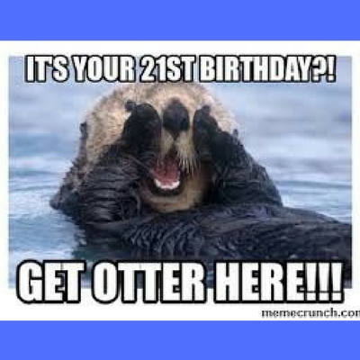 21st birthday meme otter here