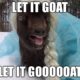 1509393700 370 25 Extremely Entertaining Goat Memes