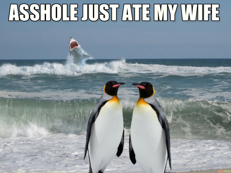 16 Penguin Memes That Are Too Adorbs For Words