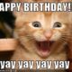 20 Adorbs Happy Birthday Cat Memes