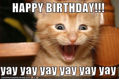 happy birthday cat memes