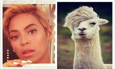 24 Beyonce Memes That Will Make You Stamp Your Feet