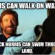 24 Uproariously Funny Chuck Norris Memes