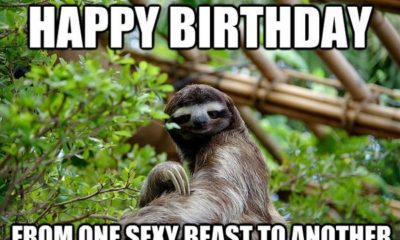 Sexy Beast To Another Best Friend Birthday Meme