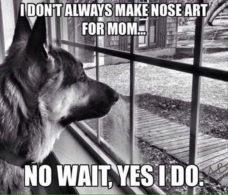 Dog Humor #3