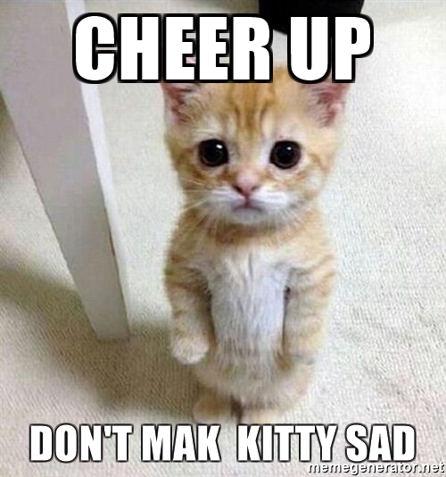 Feeling down? Watch these cute cats to cheer you up for a pick-me-up