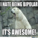 1510354006 156 20 Funny Memes To Lighten Up Your Bipolar Friend