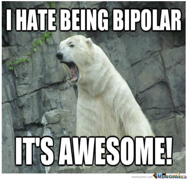 1510354006 156 20 Funny Memes To Lighten Up Your Bipolar Friend