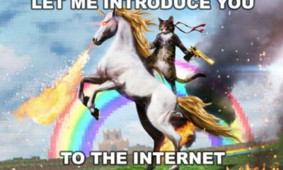 1510685826 669 15 Popular Internet Memes Today