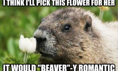 1510880543 199 22 Romantic Memes For Your Beloved