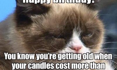 1511029864 276 25 Really Cool Birthday Memes To Send To Your Loved Ones