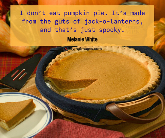 best funny thanksgiving pie quotes
