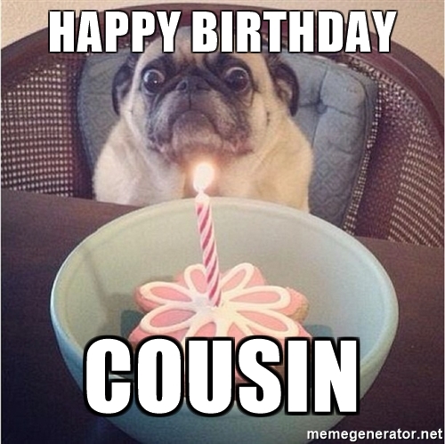 1511774582 248 20 Best Happy Birthday Memes For Your Favorite Cousin