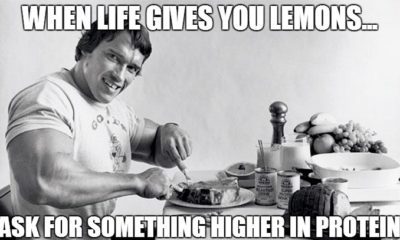 1511936387 241 20 Really Awesome Arnold Schwarzenegger Memes