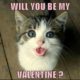 1512058378 761 20 Cute And Funny Valentines Day Memes