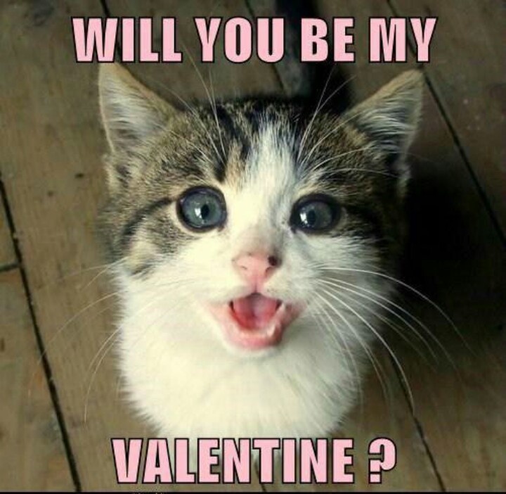 1512058378 761 20 Cute And Funny Valentines Day Memes