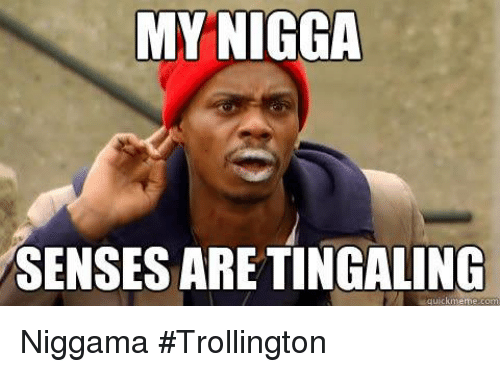 20 Nigga Memes That Are Just Plain Funny