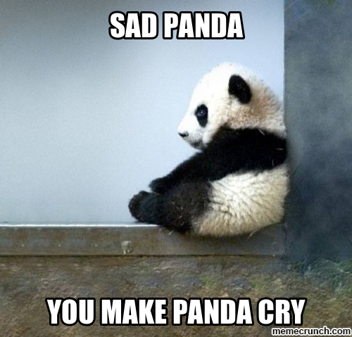 1512104503 772 20 Crazy Adorable Sad Panda Memes