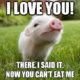 1512373671 506 20 Cute Pig Memes That Will Surely Steal Your Heart