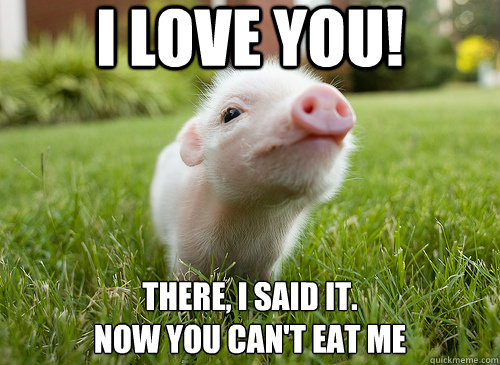 1512373671 506 20 Cute Pig Memes That Will Surely Steal Your Heart