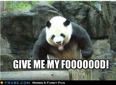panda funny meme