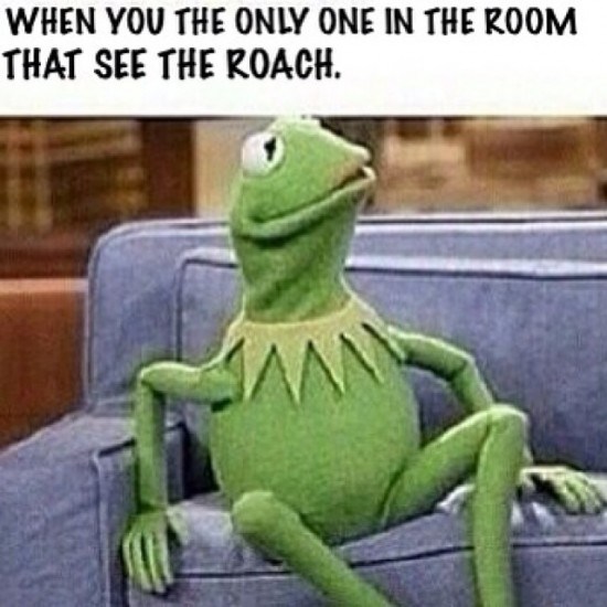 20 Kermit The Frog Memes That Are Insanely Hilarious Word Porn Quotes Love Quotes Life