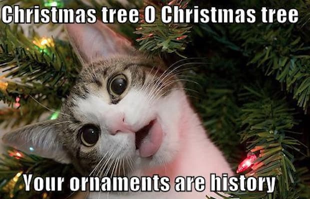 1512778983 101 25 Christmas Memes That Will Surely Make You Excited