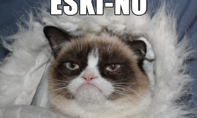 1513613828 791 18 Extremely Funny Grumpy Cat No Memes