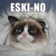 1513613828 791 18 Extremely Funny Grumpy Cat No Memes