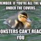 1513966146 738 20 Totally Adorable Duck Memes You Wont Be Able To Resist