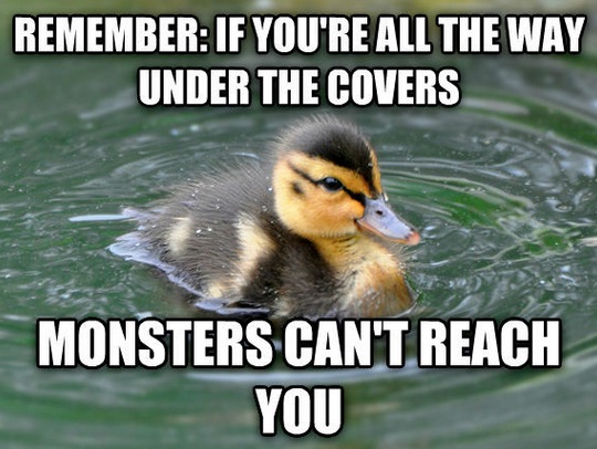 1513966146 738 20 Totally Adorable Duck Memes You Wont Be Able To Resist