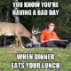 1514010097 353 The 20 Best Deer Hunting Memes So Far