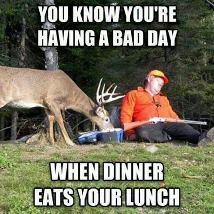 1514010097 353 The 20 Best Deer Hunting Memes So Far