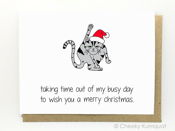 funny christmas card cat