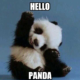 20 Incredibly Cute And Funny Panda Memes