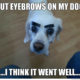 1514908664 845 20 Eyebrow Memes That Are Totally On Fleek