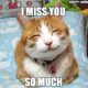 1515559253 607 20 Super Cute Memes That Say I Miss You