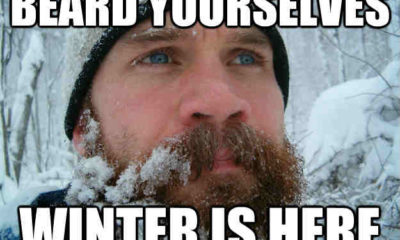 1515722378 797 20 Hilarious Beard Memes Youve Never Seen Before