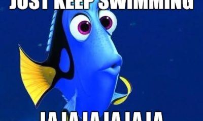 1515826050 919 20 Just Keep Swimming Memes To Motivate You